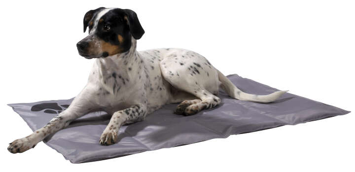 dobar Kühlmatte mit Pfotenprint